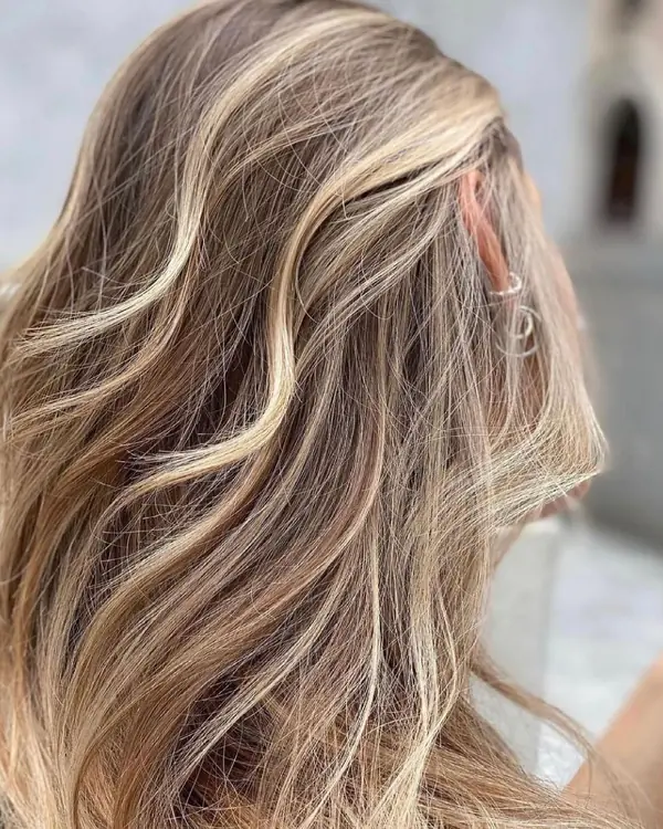 Wavy hair with fine blonde highlights.