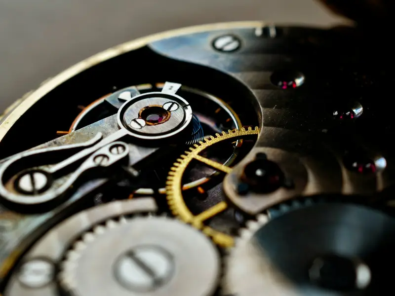 A close view of the wheels and jewels inside an open watch.